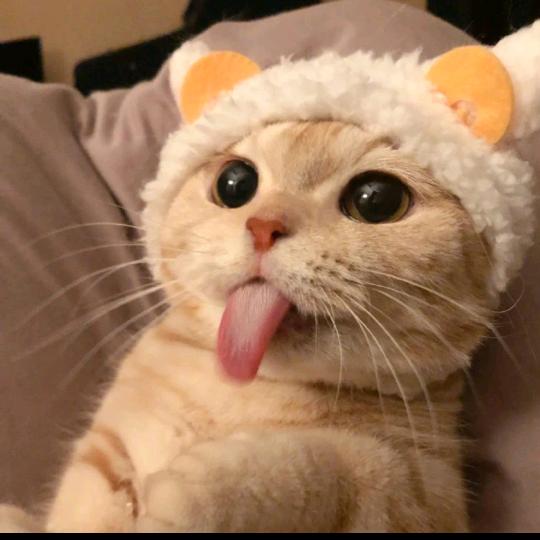 南柯