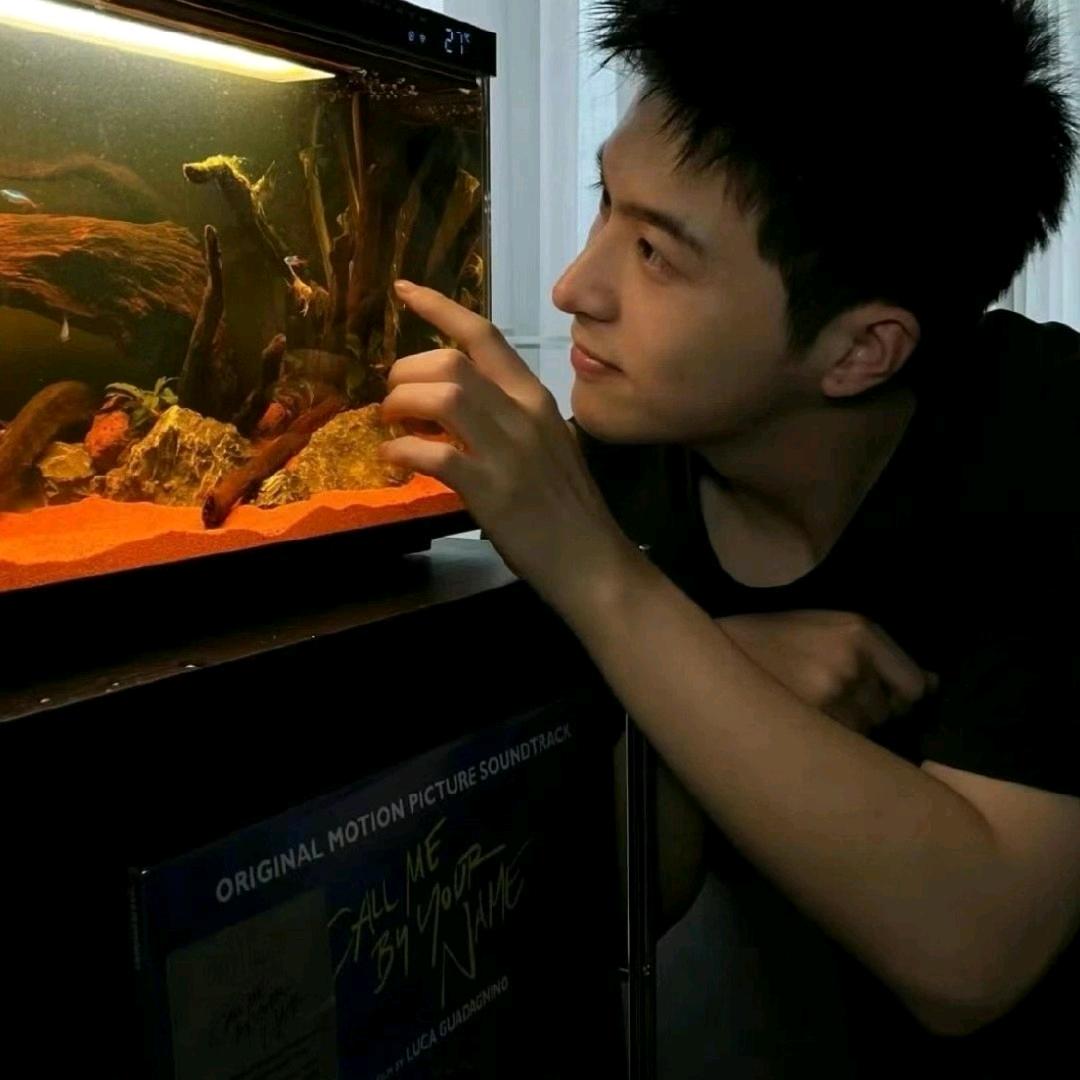 烦恼风