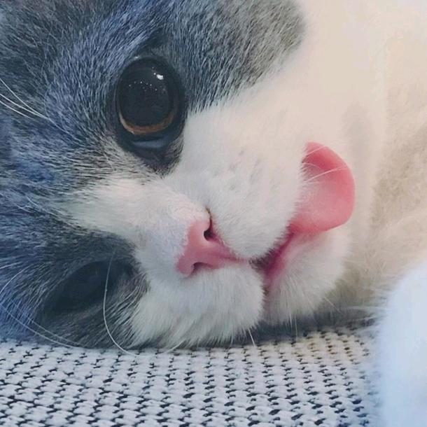 初见啊
