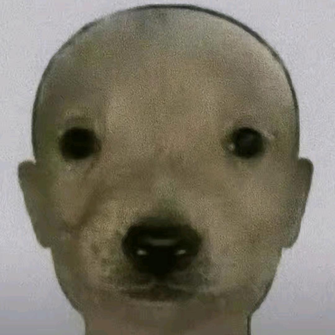 快乐舔狗头子