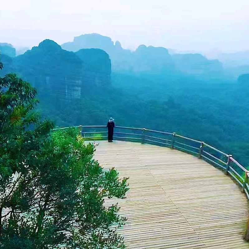 楚楚添