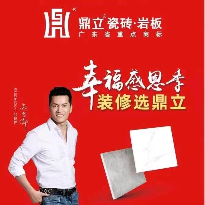 泌阳鼎立陶瓷.岩板.麦狄瓷砖批发