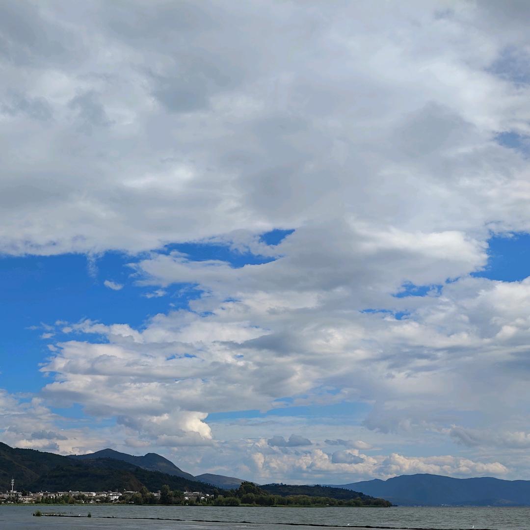 风月（子衿）