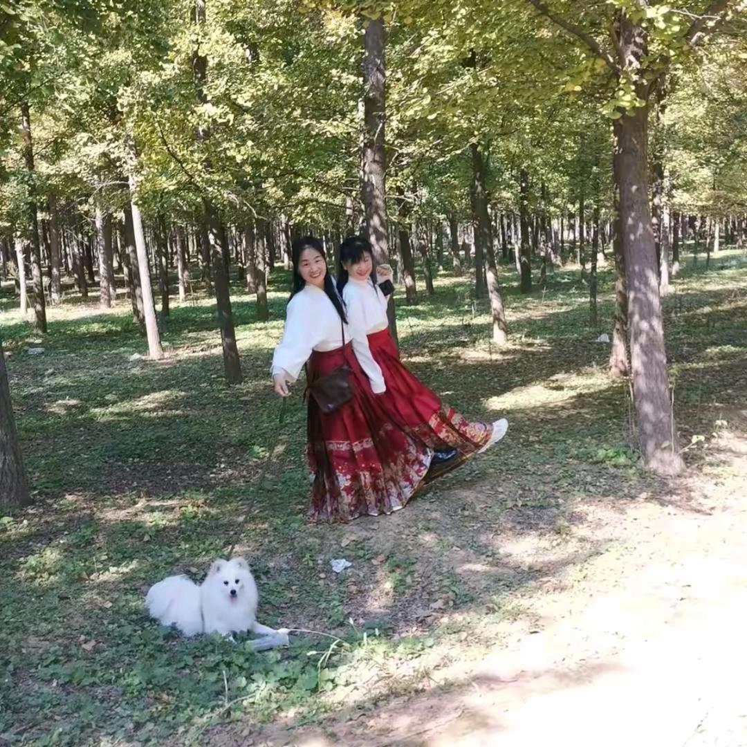 天懒之音