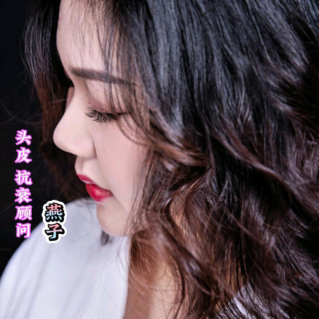 霍邱   小燕子