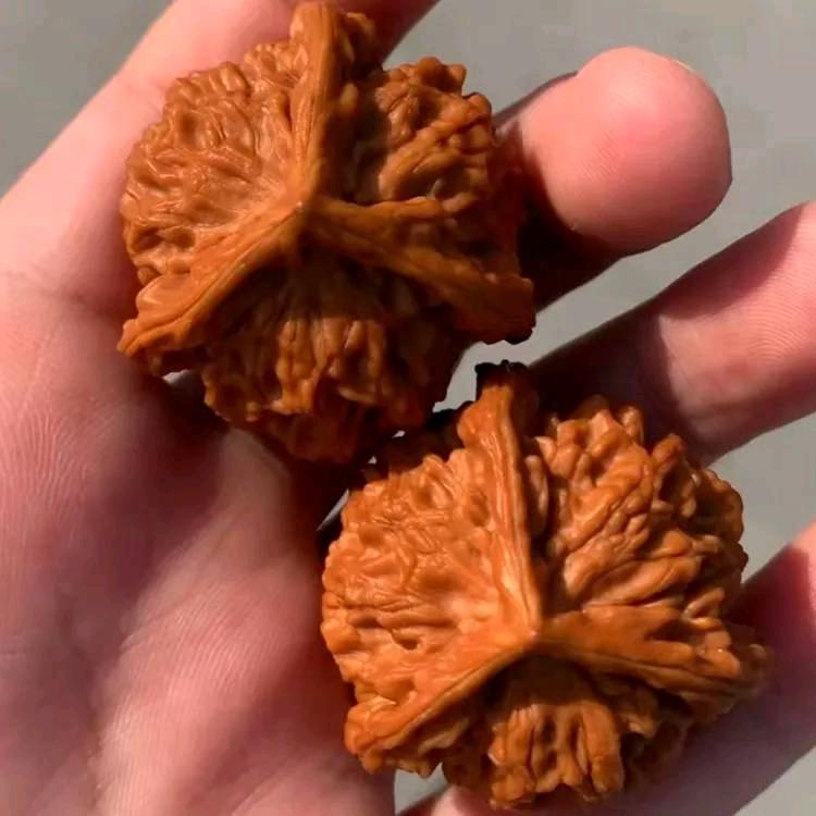乐核缘文玩