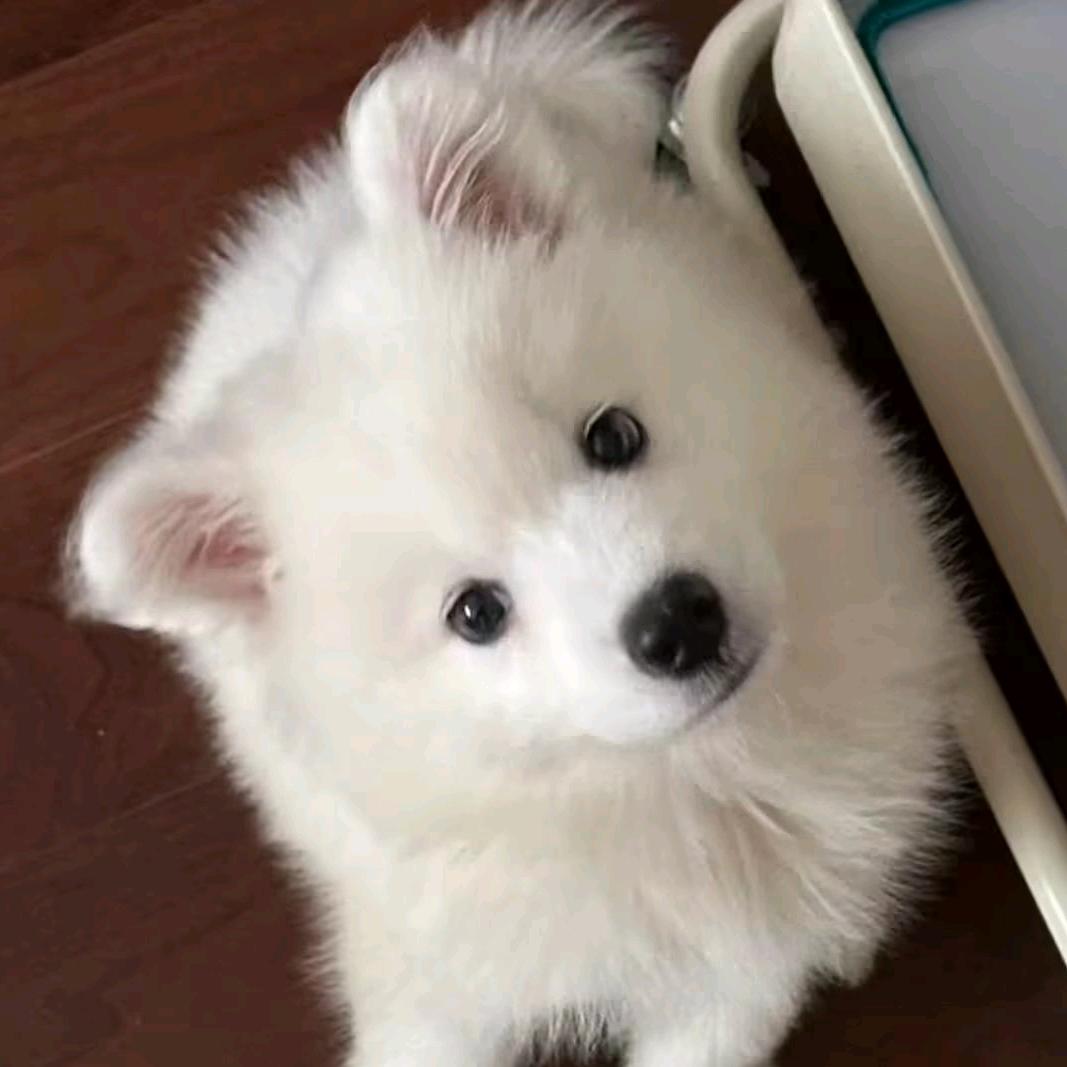 澪