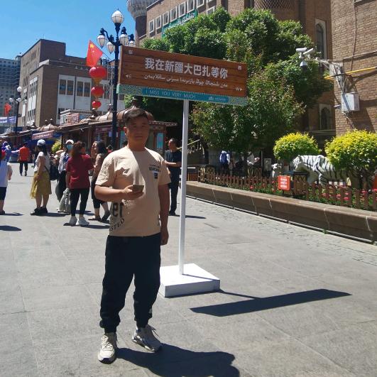 为你→_→停柳
