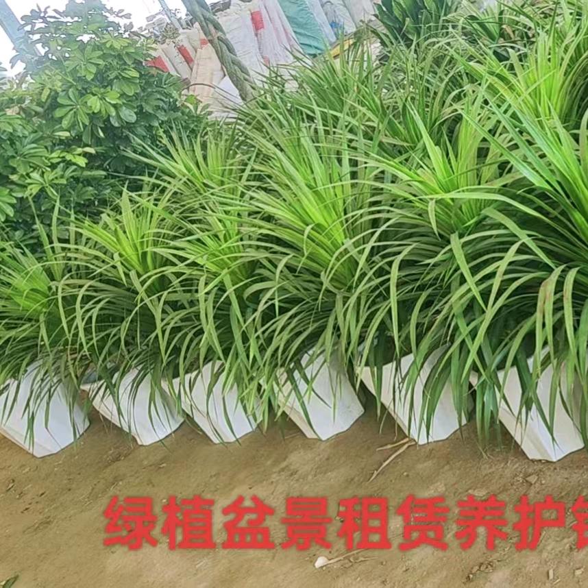 用户987654321