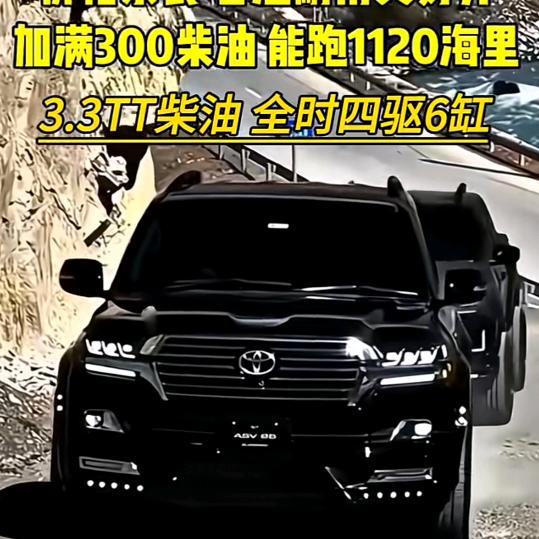 龙