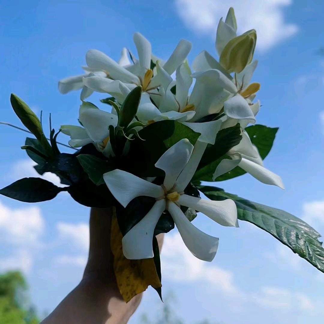 🌱时光🌿