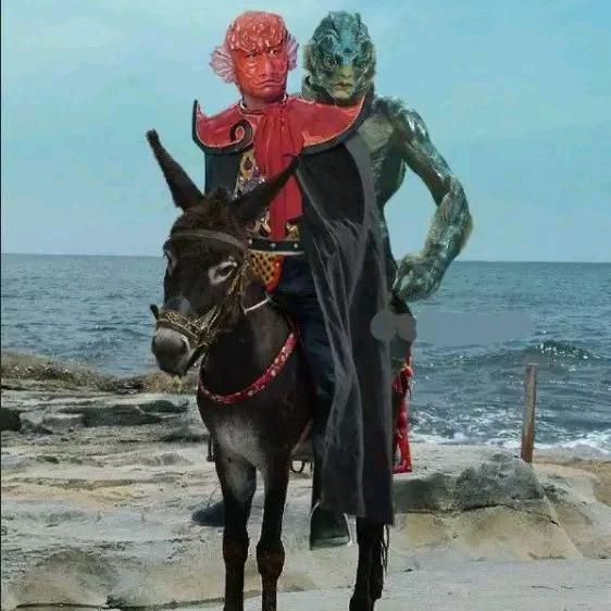 红理鱼与绿鲤鱼与驴