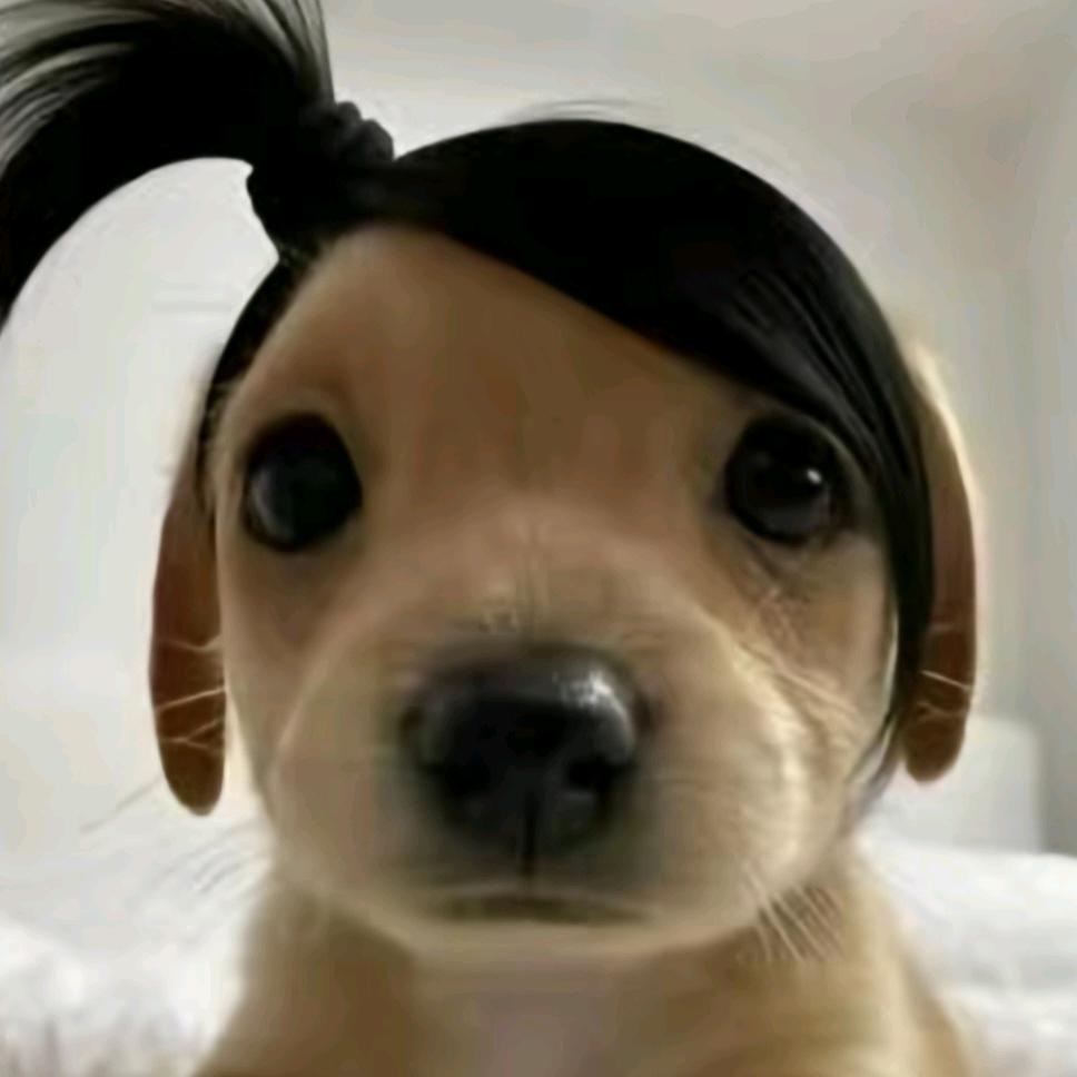 小温不发愁