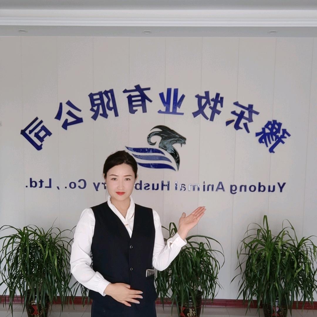 王敏养羊
