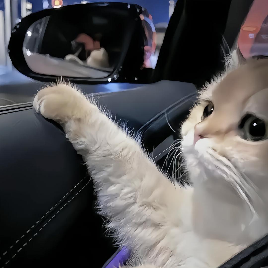 碍
