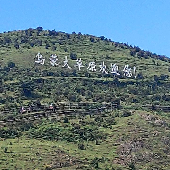 梦想成真★