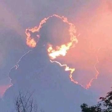 君心似我心