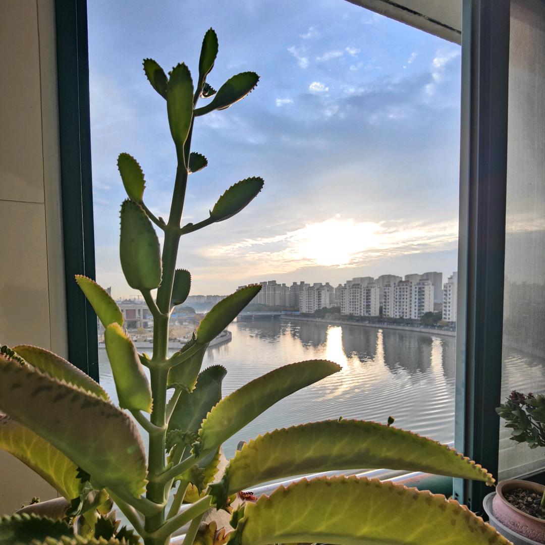 ꧁༺cool𒀱咭༻꧂