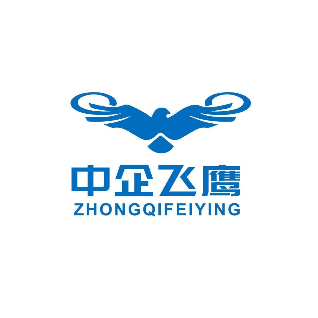 北京中企飞鹰科技有限公司