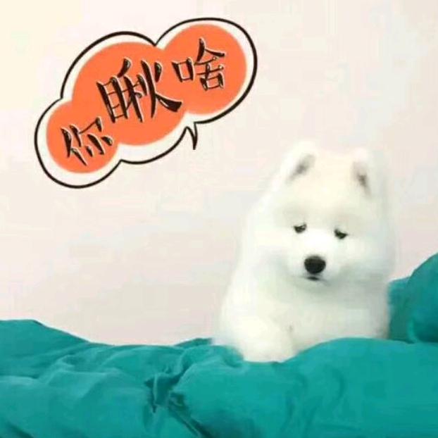 万鑫名品，陌辰.