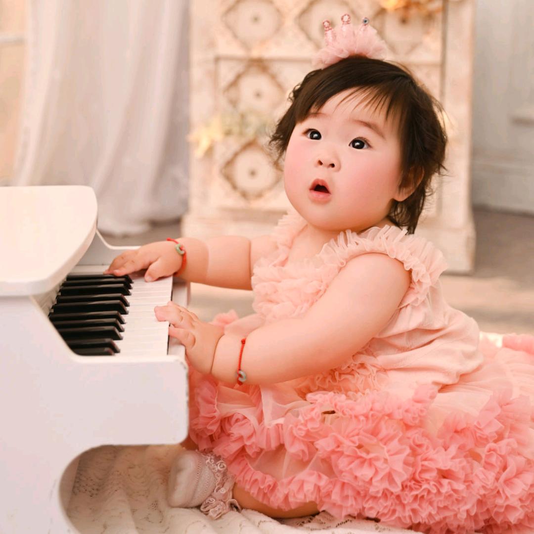 梧桐树下已无果