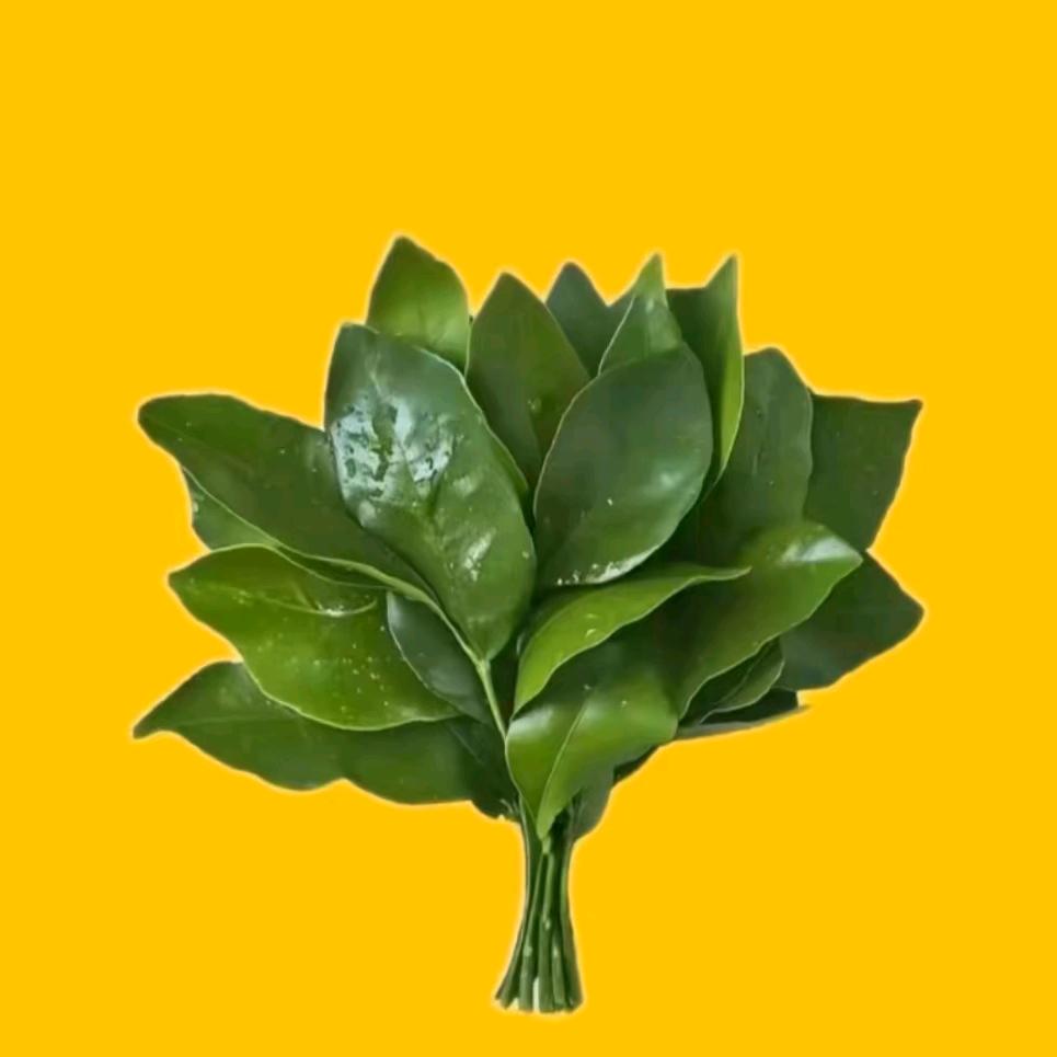 朕与爱情水土不服