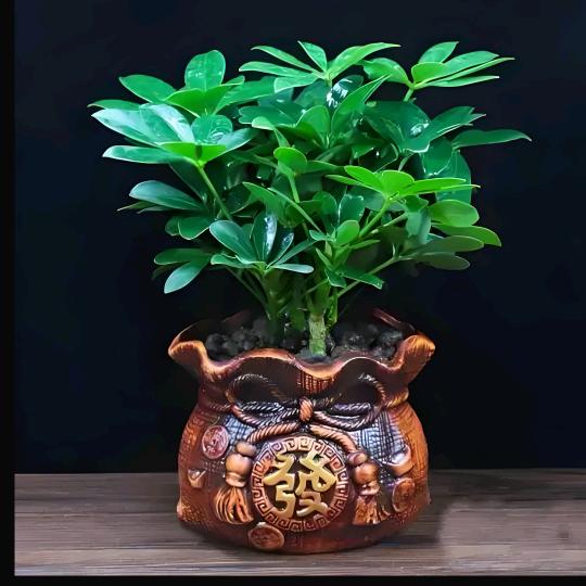 小静