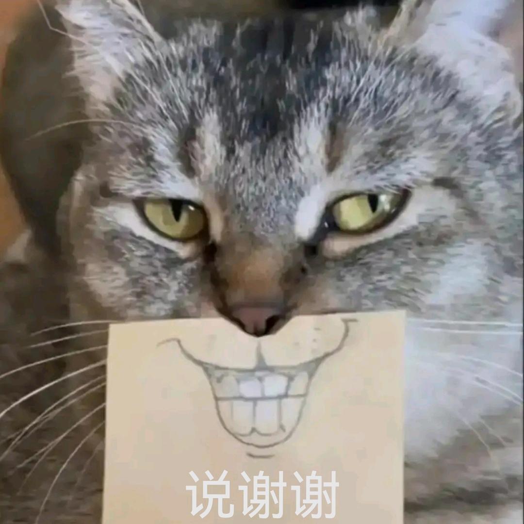 団団赚