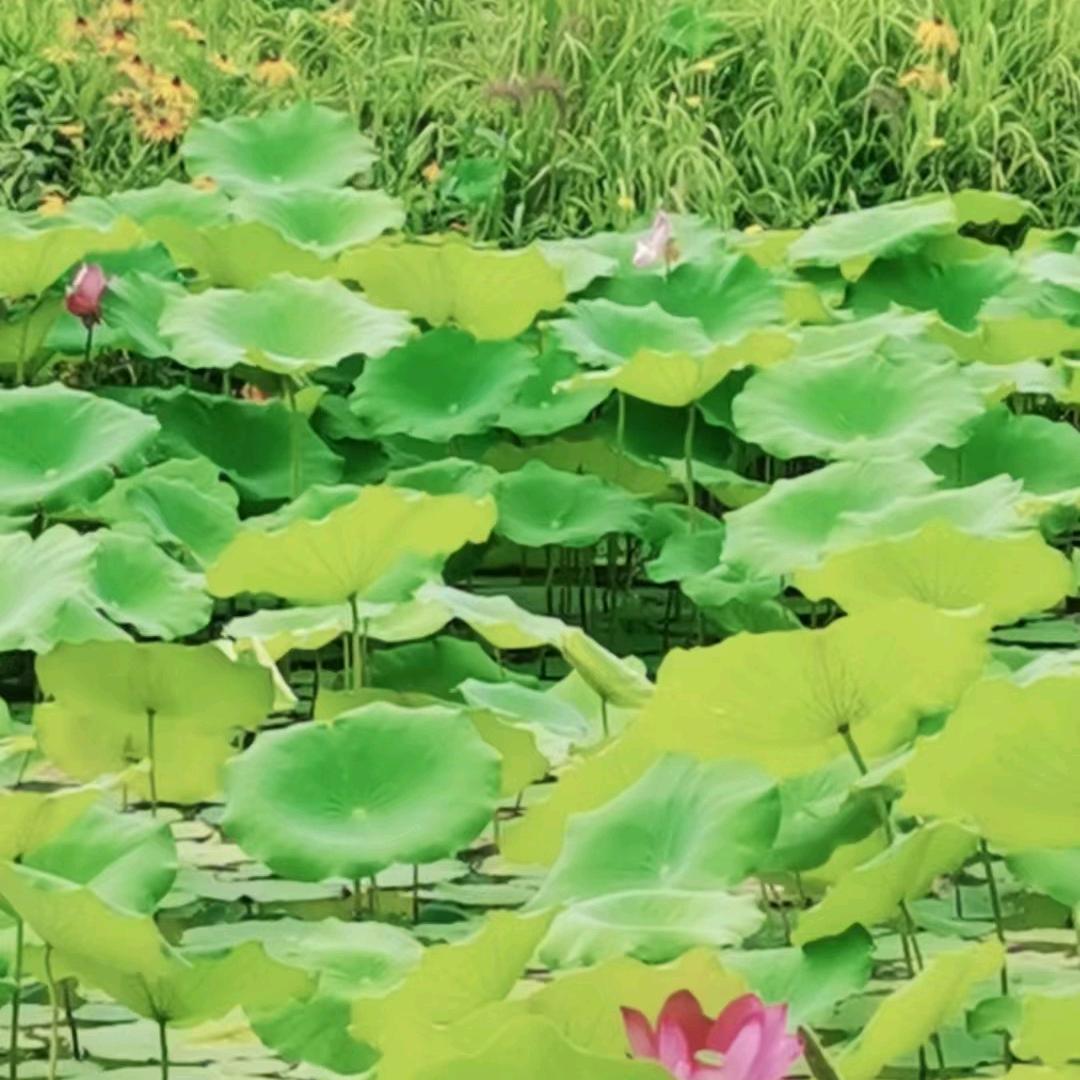 守护幸福