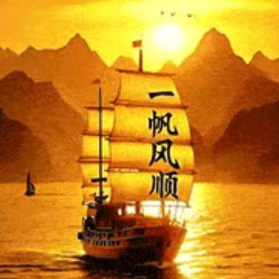 情为何物