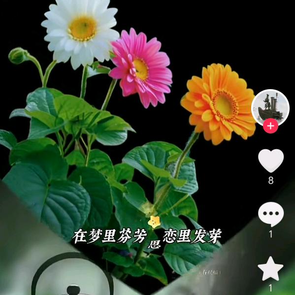 老黄