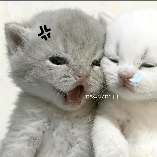 不攻
