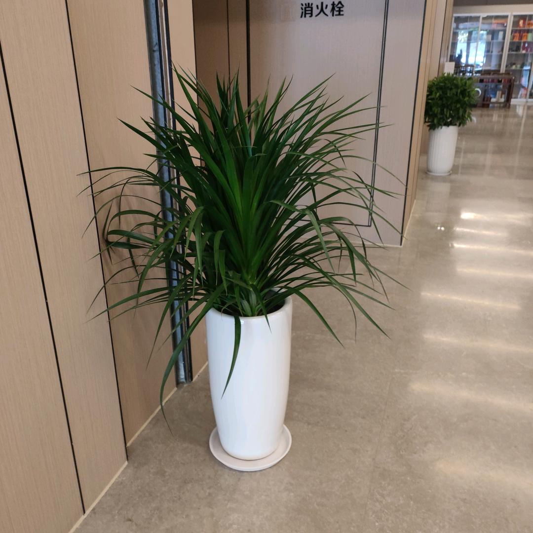 远扬热爱生活