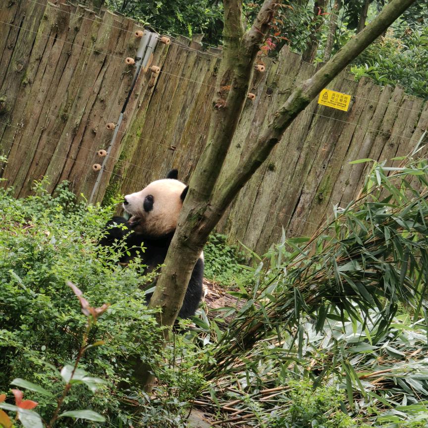 誉之味自助水饺