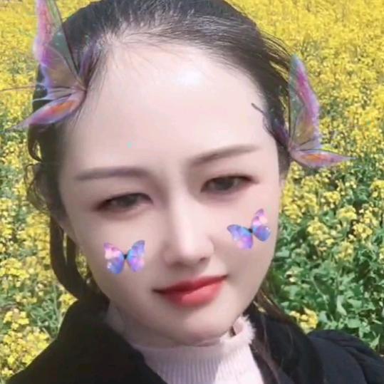 定远王会