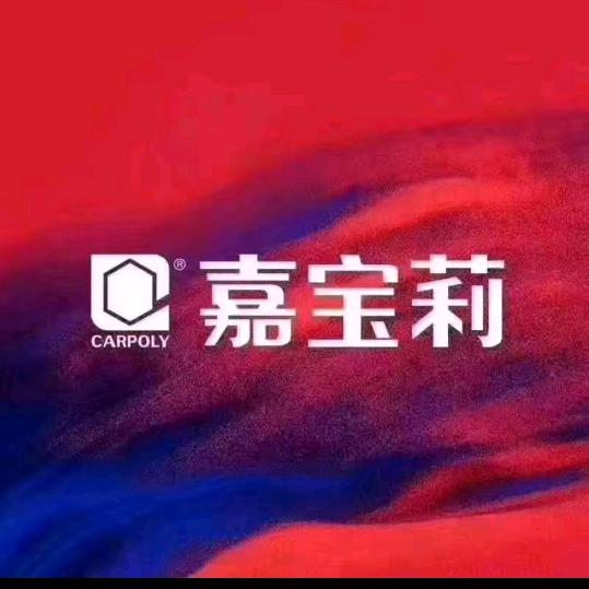 嘉宝莉辅材刘葙
