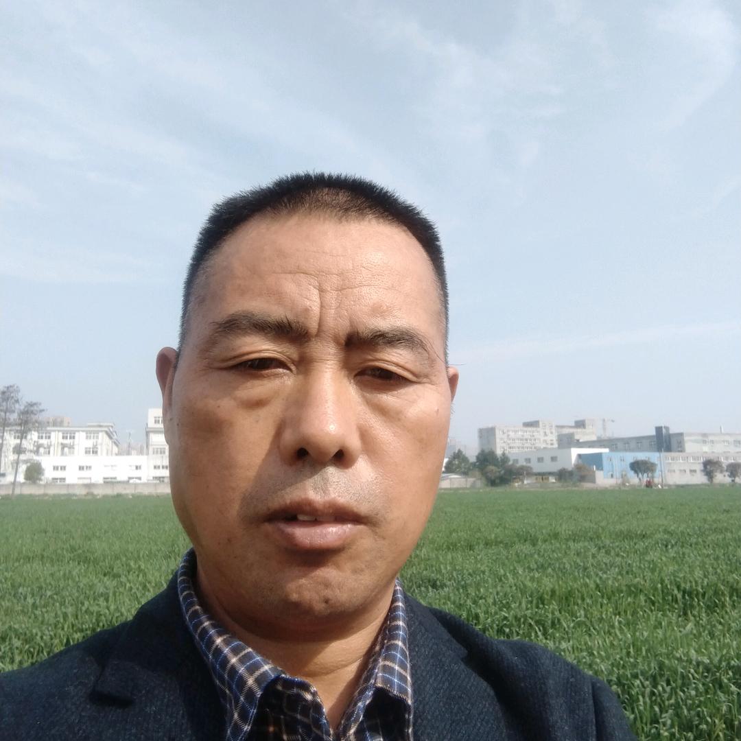 平安哥