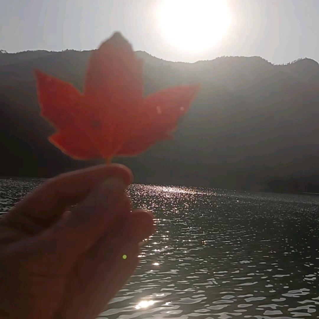 曾经的少年