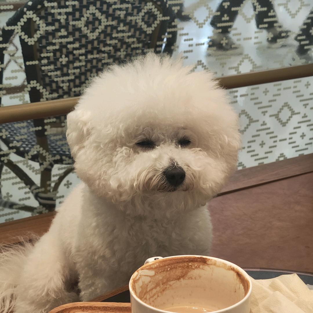 轻奢手工美甲甲