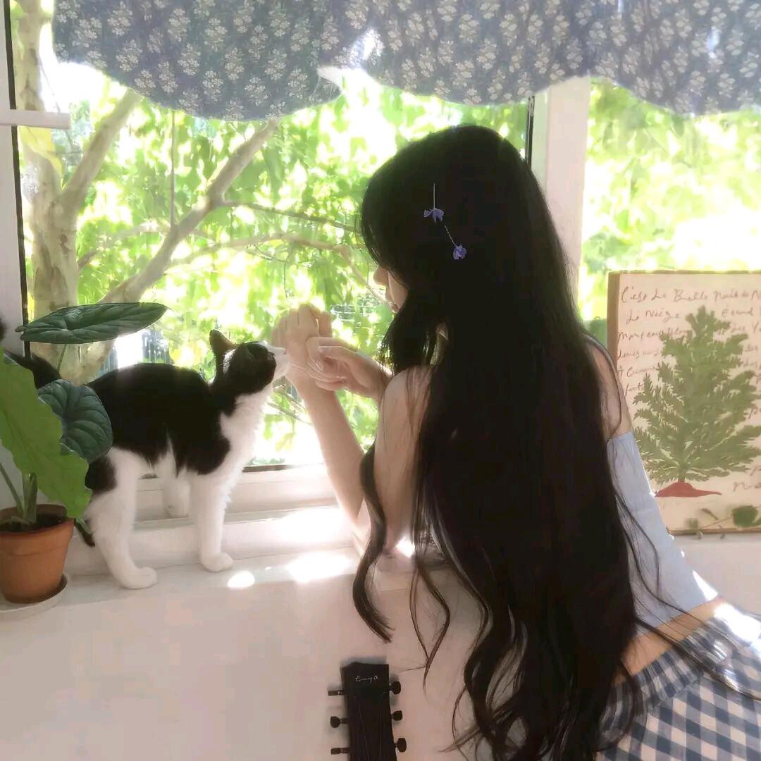 遥汐於（yú）月