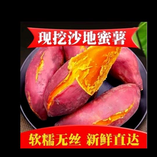 红薯在努力