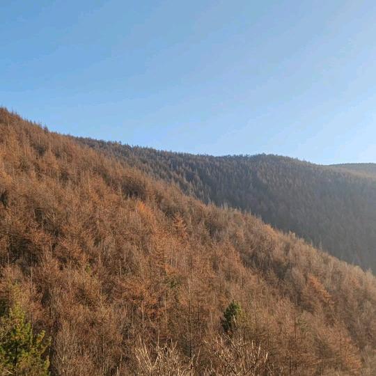 农村生活