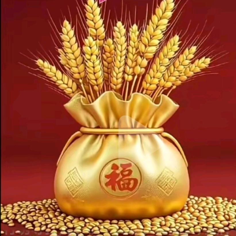 时光荏苒