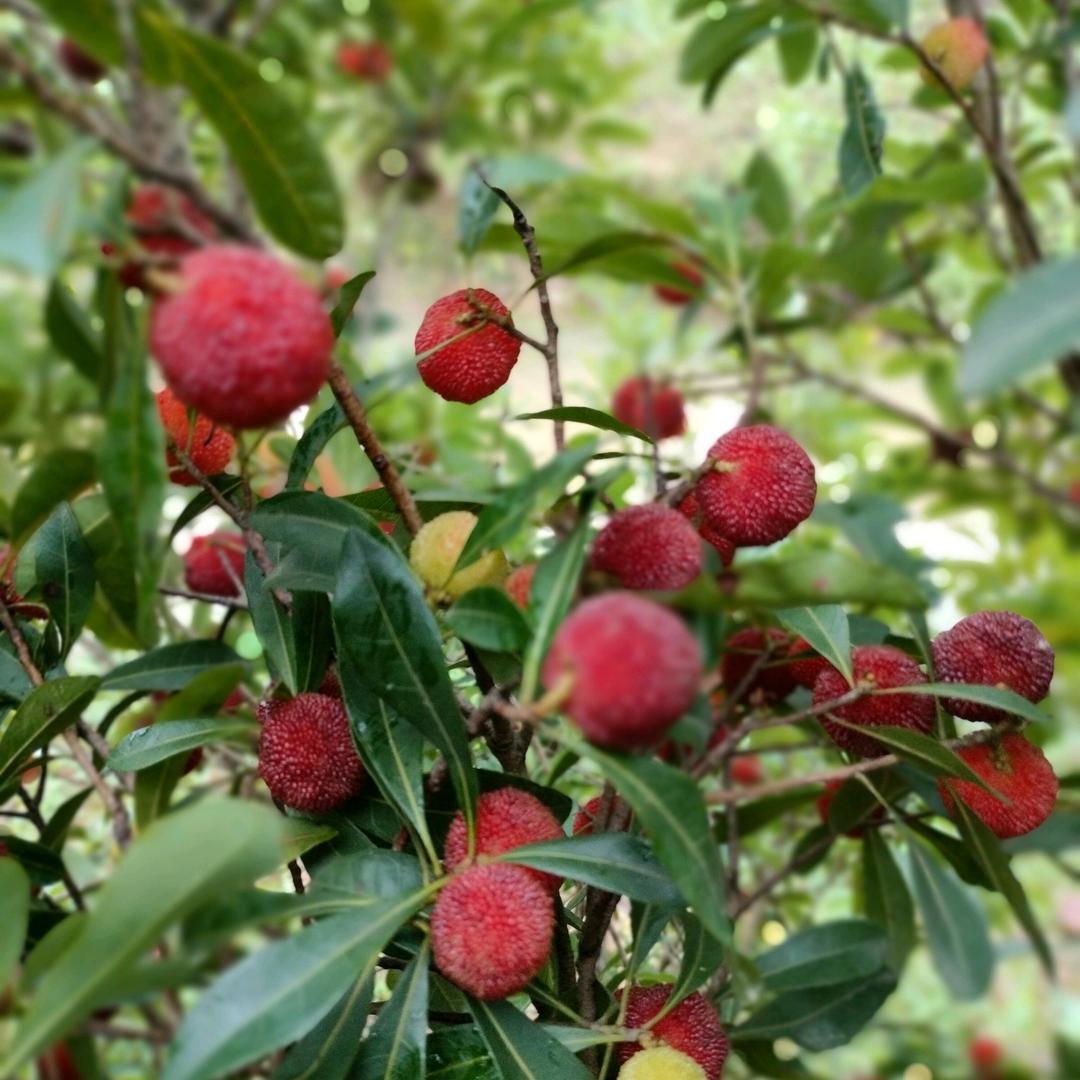 💞放飞✈️自我💖