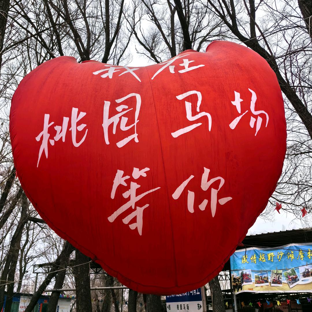 桃园马场官方号