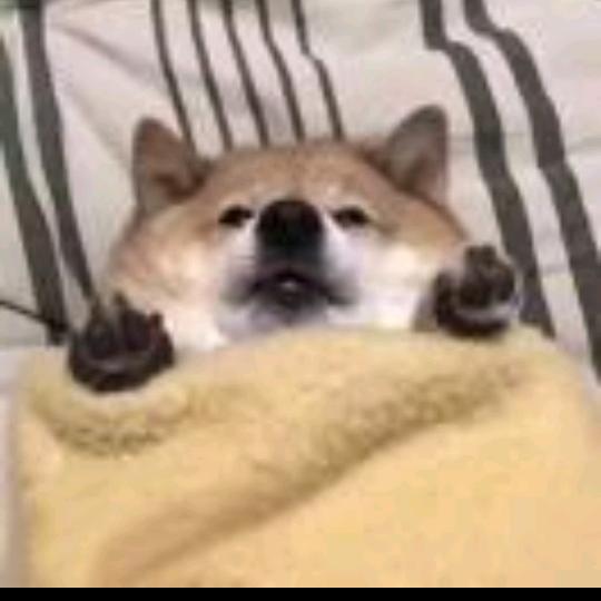 爽歪歪⁵¹¹