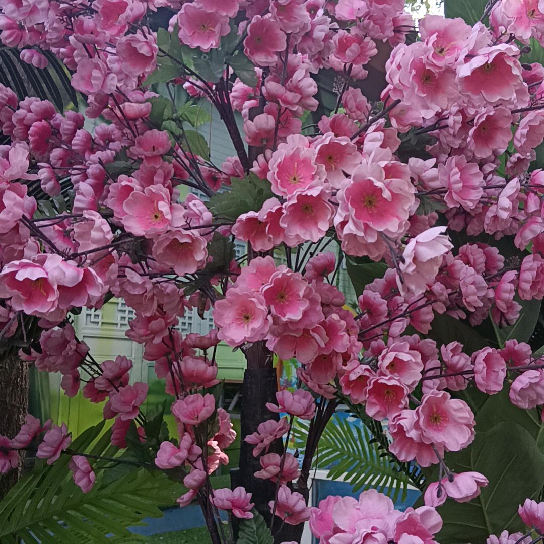 包容