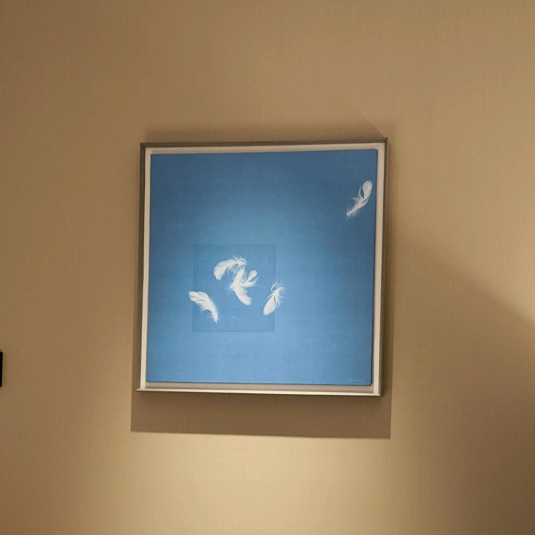 天天向上⬆️