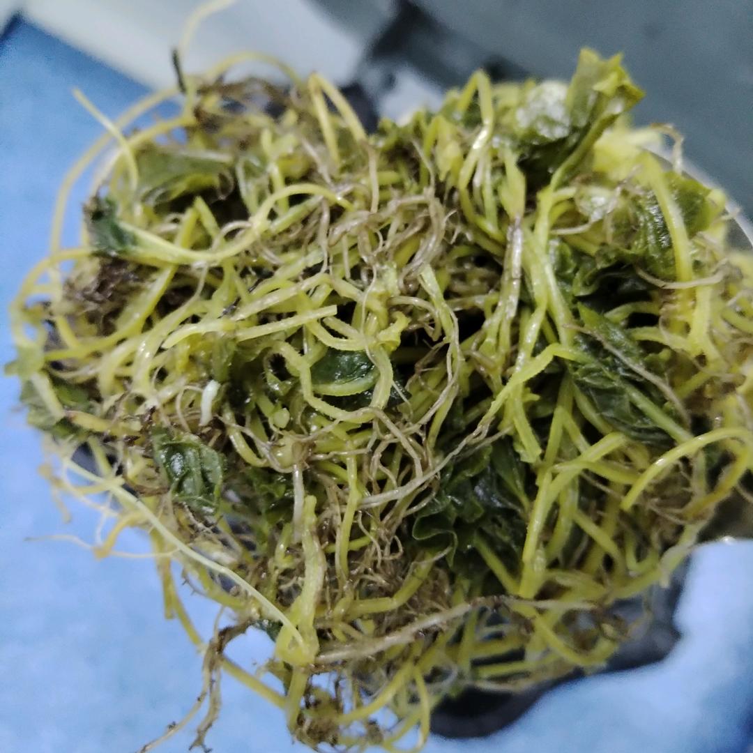 下辈子不来了！