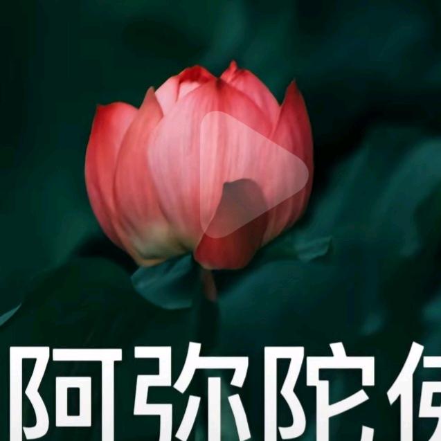 张召娥